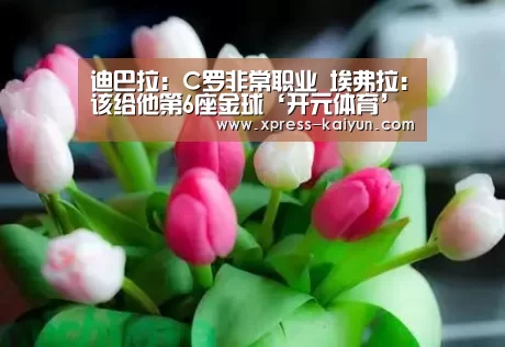 开云体育网站