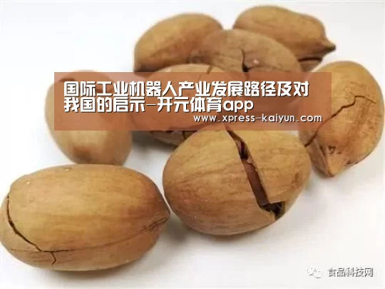 国际工业机器人产业发展路径及对我国的启示-开元体育app(图3) 开云平台