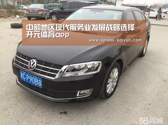 中部地区现代服务业发展战略选择_开元体育app(图1) 开元体育