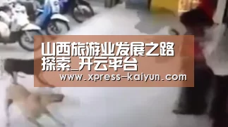开云体育网站