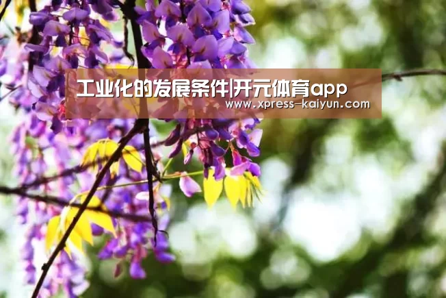 开云体育网站